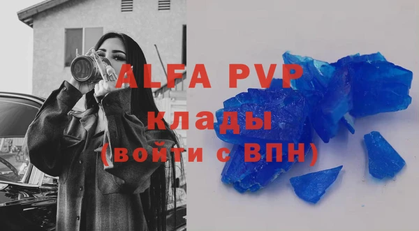 прущие грибы Киренск