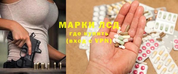 прущие грибы Киренск