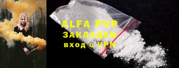 прущие грибы Киренск