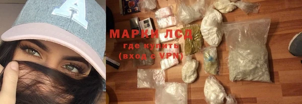 прущие грибы Киренск