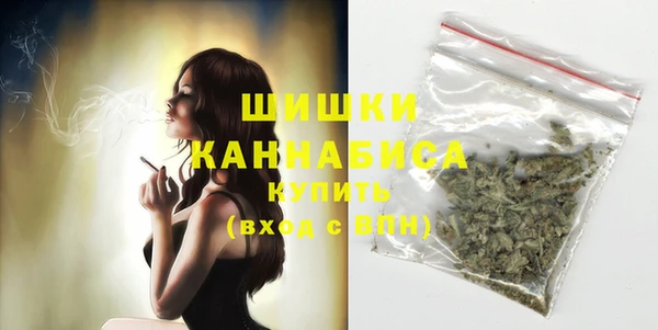 прущие грибы Киренск