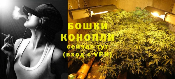 прущие грибы Киреевск