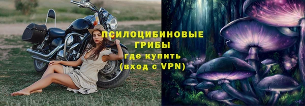 прущие грибы Киренск