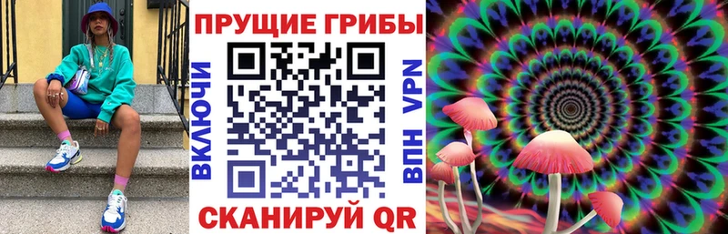 наркотики  Луга  Галлюциногенные грибы мицелий 